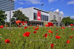 begruenter Mittelstreifen der Karl-Marx-Allee, Berlin, 02.06.2021