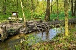 Wassertretstelle zum Kneippen, "BUCKOW - Märkische Schweiz", 13.04.2024