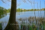 Blick auf den Buckow-See, "BUCKOW - Märkische Schweiz", 13.04.2024