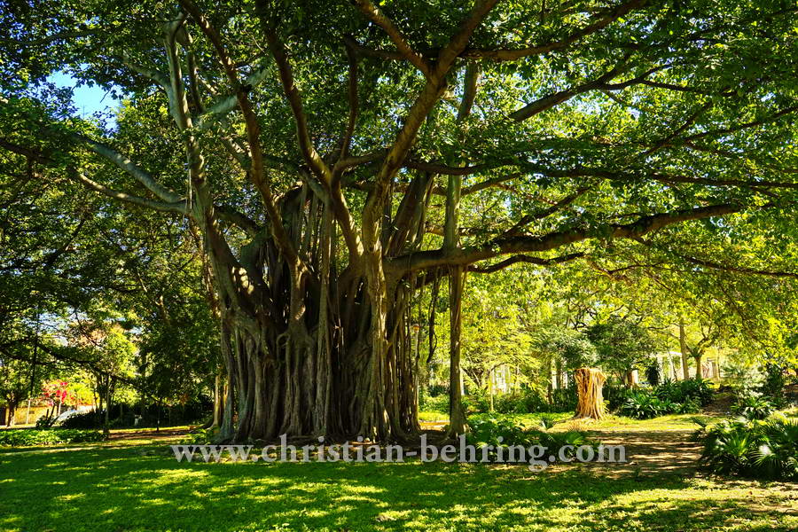 HAVANNA_5858_1farbelebendigkontrast
