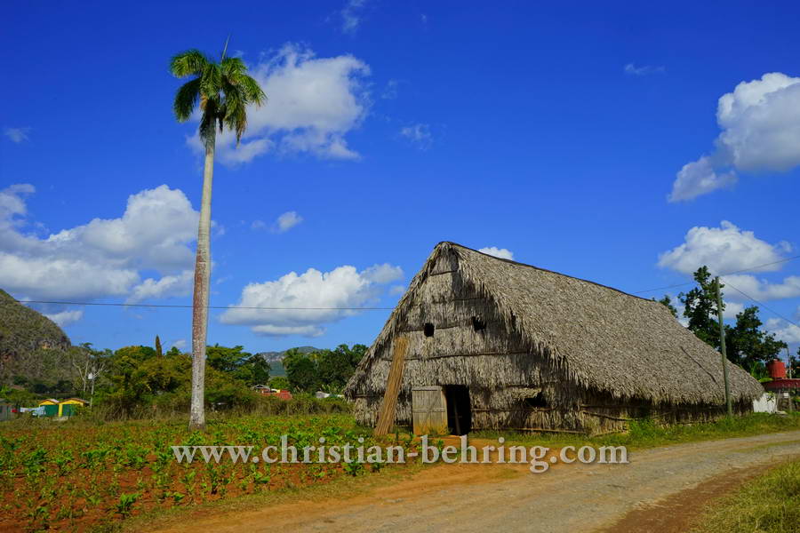 Tabakhuette, Bei einem privaten Tabakbauern in Valle de Vinales (das Tal von Vinales), Cuba, 21.01.2015 [(c) Christian Behring, www.christian-behring.com]