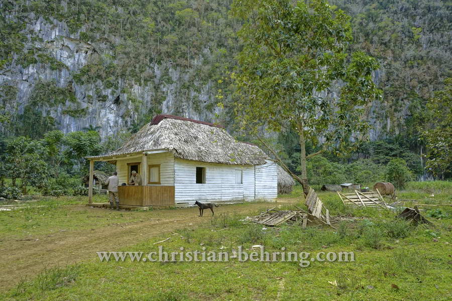 Wohnhaus, Bei einem privaten Tabakbauern in Valle de Vinales (das Tal von Vinales), Cuba, 21.01.2015 [(c) Christian Behring, www.christian-behring.com]