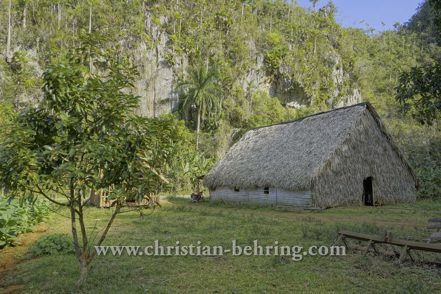 Tabakhuette, Bei einem privaten Tabakbauern in Valle de Vinales (das Tal von Vinales), Cuba, 21.01.2015 [(c) Christian Behring, www.christian-behring.com]