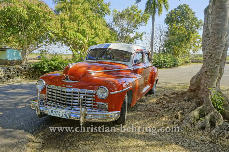 Dodge an einer Raststaette vor Cienfuegos, Cuba, 22.01.2015 [(c) Christian Behring, www.christian-behring.com]