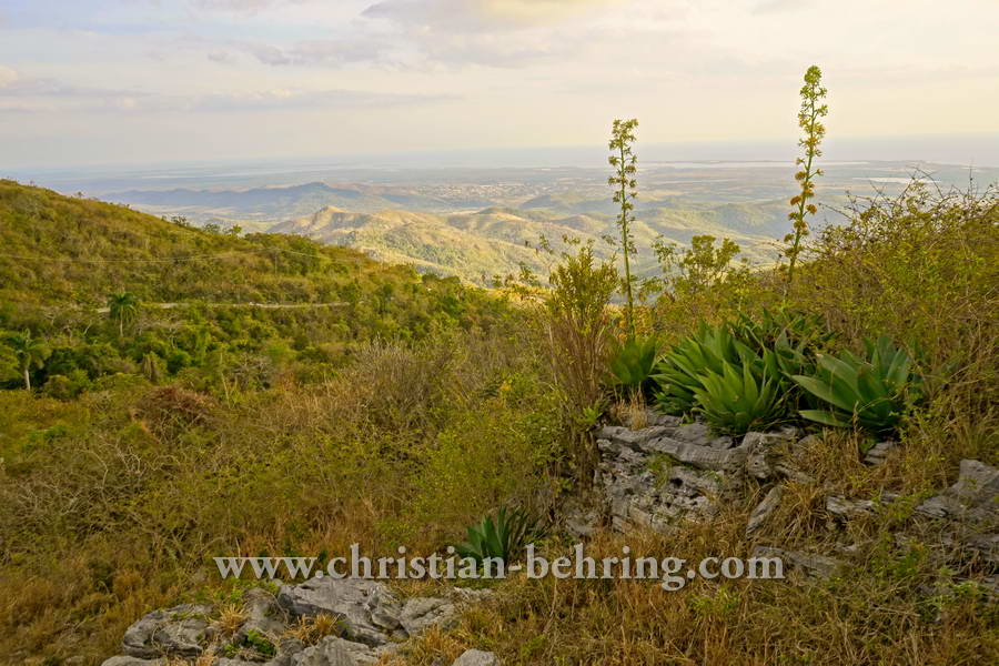 TOPES_DE_COLLANTES_2307hdr_dunkler