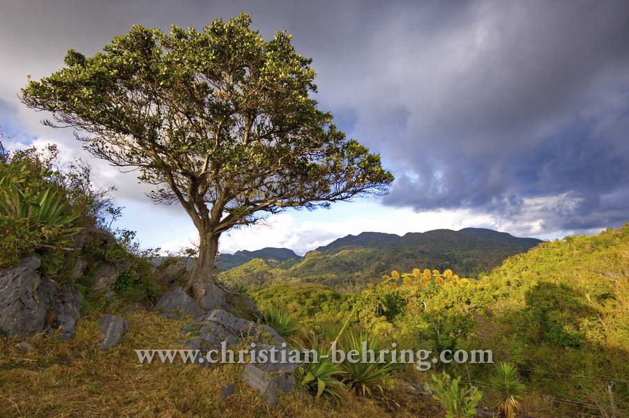 Aussichtspunkt im Parque Nacional Topes de Collantes, Topes de Collantes, Cuba, 22.01.2015 [(c) Christian Behring, www.christian-behring.com]