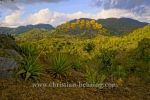 Aussichtspunkt im Parque Nacional Topes de Collantes, Topes de Collantes, Cuba, 22.01.2015 [(c) Christian Behring, www.christian-behring.com]