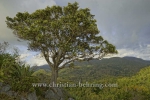 Aussichtspunkt im Parque Nacional Topes de Collantes, Topes de Collantes, Cuba, 22.01.2015 [(c) Christian Behring, www.christian-behring.com]