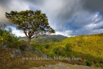 Aussichtspunkt im Parque Nacional Topes de Collantes, Topes de Collantes, Cuba, 22.01.2015 [(c) Christian Behring, www.christian-behring.com]