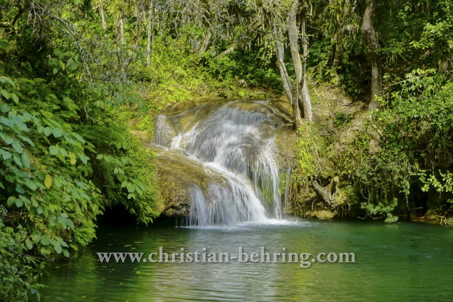 , Topes de Collantes, Cuba, 23.01.2015 [(c) Christian Behring, www.christian-behring.com]