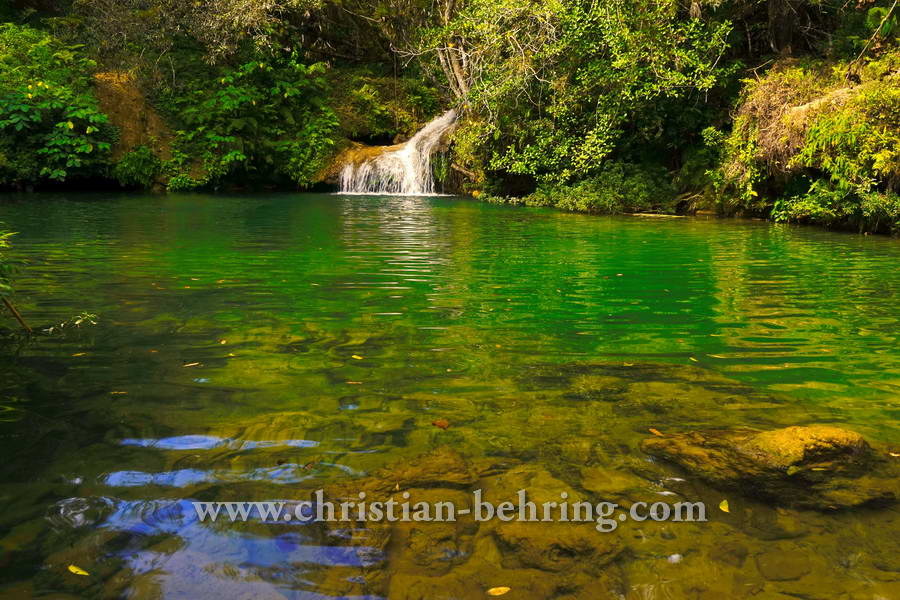 , Topes de Collantes, Cuba, 23.01.2015 [(c) Christian Behring, www.christian-behring.com]