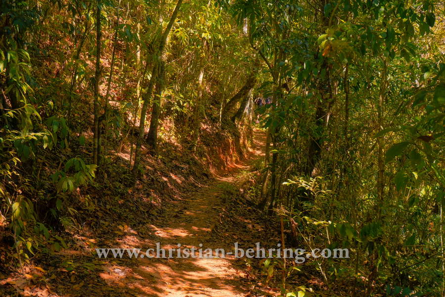 , Topes de Collantes, Cuba, 23.01.2015 [(c) Christian Behring, www.christian-behring.com]