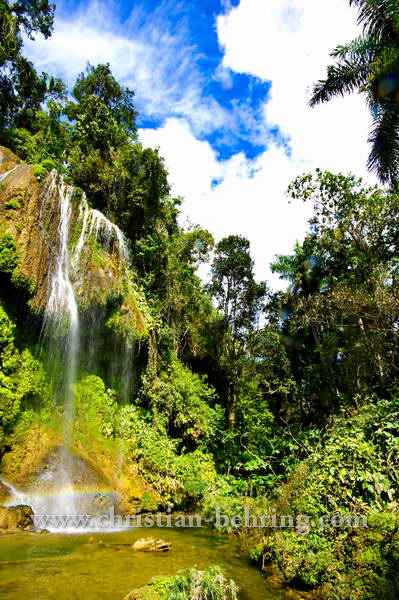 , Topes de Collantes, Cuba, 23.01.2015 [(c) Christian Behring, www.christian-behring.com]