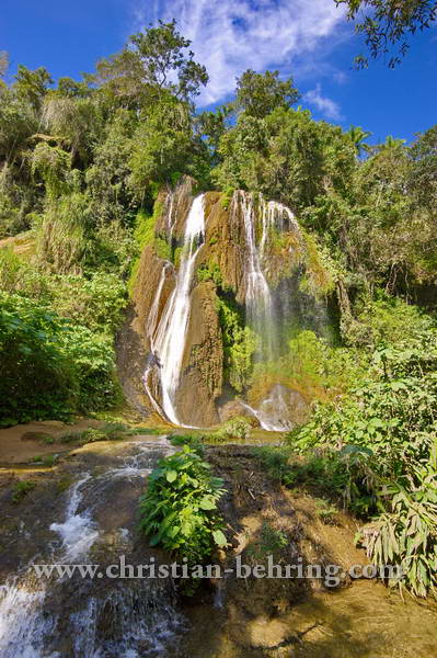 , Topes de Collantes, Cuba, 23.01.2015 [(c) Christian Behring, www.christian-behring.com]