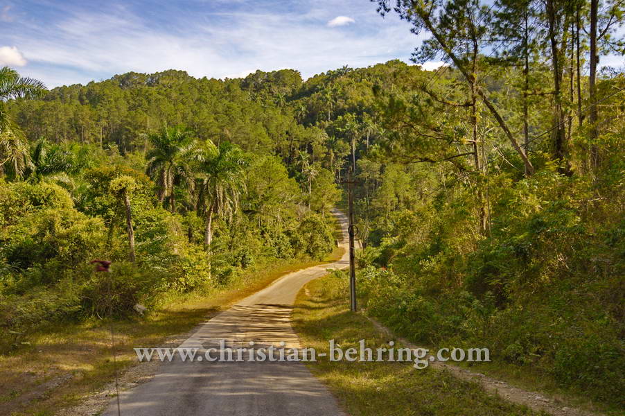 , Topes de Collantes, Cuba, 23.01.2015 [(c) Christian Behring, www.christian-behring.com]
