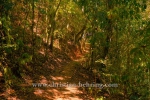 , Topes de Collantes, Cuba, 23.01.2015 [(c) Christian Behring, www.christian-behring.com]
