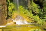 , Topes de Collantes, Cuba, 23.01.2015 [(c) Christian Behring, www.christian-behring.com]
