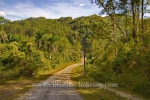 , Topes de Collantes, Cuba, 23.01.2015 [(c) Christian Behring, www.christian-behring.com]