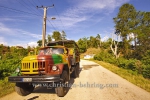 , Topes de Collantes, Cuba, 23.01.2015 [(c) Christian Behring, www.christian-behring.com]