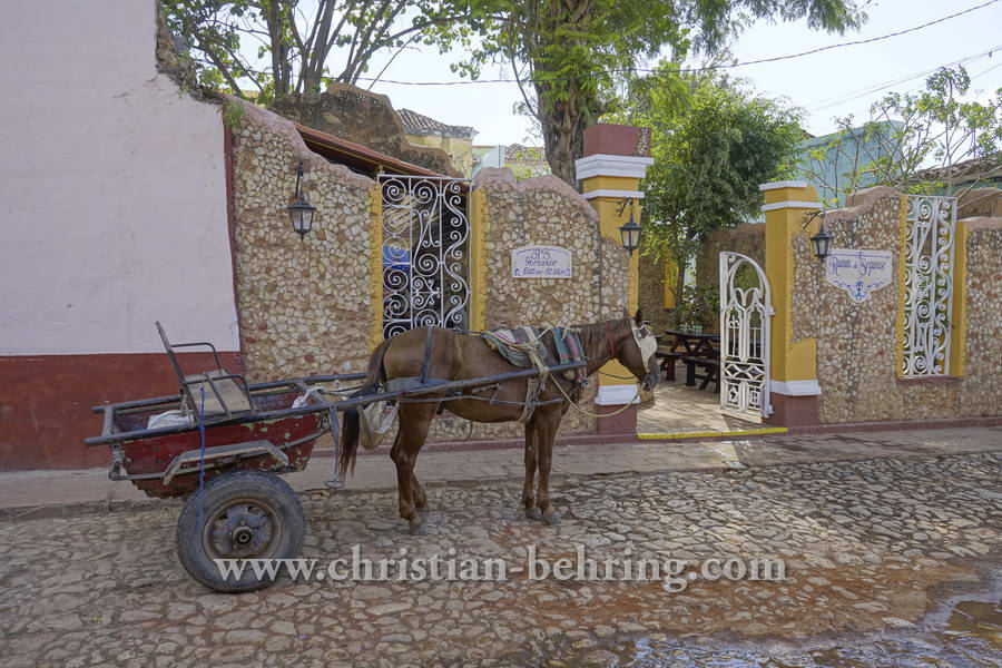 Pferdefuhrwerk in der Altstadt, Trinidad, Cuba, 24.01.2015 [(c) Christian Behring, www.christian-behring.com]