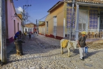Bauer mit Esel in einer Strasse in der Altstadt, Trinidad, Cuba, 24.01.2015 [(c) Christian Behring, www.christian-behring.com]
