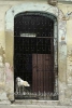 in der Altstadt, Santa Clara, Cuba, 25.01.2015 [(c) Christian Behring, www.christian-behring.com]
