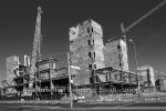 "DIE PALAST-RUINE IN BERLIN MITTE", 2008-2009