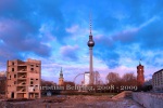 "DIE PALAST-RUINE IN BERLIN MITTE", 2008-2009