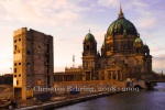 "DIE PALAST-RUINE IN BERLIN MITTE", 2008-2009