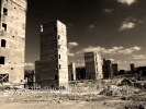 "DIE PALAST-RUINE IN BERLIN MITTE", 2008-2009