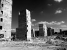 "DIE PALAST-RUINE IN BERLIN MITTE", 2008-2009