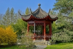 Chinesischer Garten des wiedergewonnenen Mondes, "GAERTEN DER WELT", Blumberger Damm / Eisenacher Strasse, Berlin, 08.04.2020
