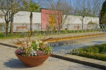 Orientalischer Garten der vier Stroeme, "GAERTEN DER WELT", Blumberger Damm / Eisenacher Strasse, Berlin, 08.04.2020