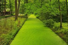 "HOWOGE-Tierpark-Fest", Tierpark Alt-Friedrichsfelde, Berlin, 05.07.2026