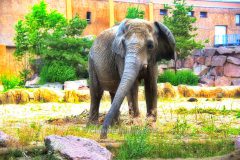 "HOWOGE-Tierpark-Fest", Tierpark Alt-Friedrichsfelde, Berlin, 05.07.2026