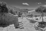 "Castell de Capdepera", Capdepera auf Mallorca, 21.06.2016 (Photo: Christian Behring)