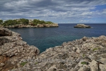 CALA_D_OR_9858