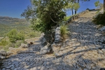 "Pollenca", Puig de Santa Maria, Berg suedlich von Pollenca, einer Kleinstadt im Nordwesten von Mallorca, 23.06.2016 (Photo: Christian Behring)