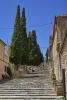 "Pollenca", Kleinstadt im Nordwesten von Mallorca, 23.06.2016 (Photo: Christian Behring)