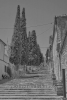 "Pollenca", Kleinstadt im Nordwesten von Mallorca, 23.06.2016 (Photo: Christian Behring)