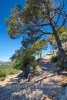 "Pollenca", Puig de Santa Maria, Berg suedlich von Pollenca, einer Kleinstadt im Nordwesten von Mallorca, 23.06.2016 (Photo: Christian Behring)