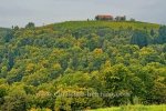 "Weinstrasse", suedlich von Leibnitz, auf der Bundesstrasse 69, entlang der Grenze zu Slowenien, 12.10.2015 [Photo: Christian Behring]