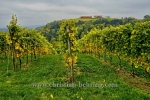 "Weinstrasse", suedlich von Leibnitz, auf der Bundesstrasse 69, entlang der Grenze zu Slowenien, 12.10.2015 [Photo: Christian Behring]