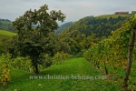 "Weinstrasse", suedlich von Leibnitz, auf der Bundesstrasse 69, entlang der Grenze zu Slowenien, 12.10.2015 [Photo: Christian Behring]