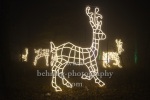 "Weihnachten im Tierpark", Tierpark, Berlin, 28.11.2021