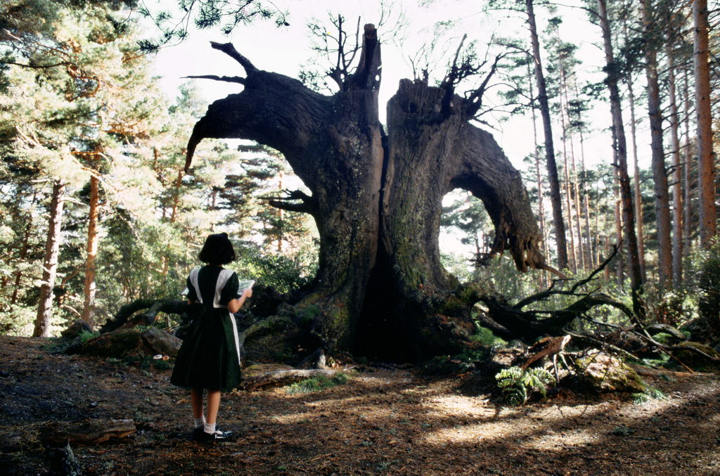 Pans labyrinth, Szenenfoto